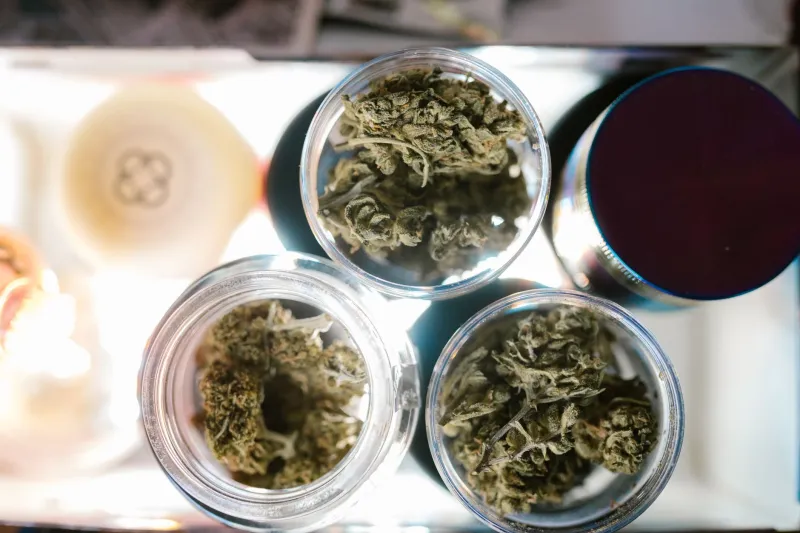 What's in a Name? How Cannabis Strain Branding Plays Tricks on Your Brain