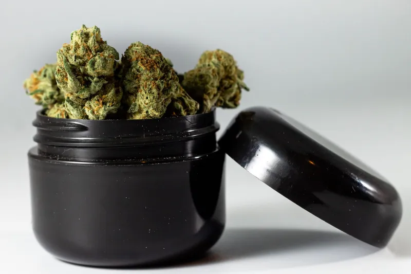 Ghost Genetics: The Dispensary Trick of Selling You Made-Up Strains at Real Prices