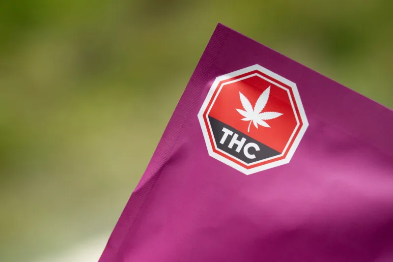 Fifty Names for the Same Plant: The Identity Crisis Hiding Inside Your Favorite Strain