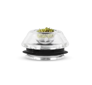 PROXY FLOWER BOWL