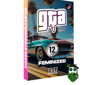 GTA FOTO BSF X12