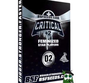 CRITICAL+2 FOTO BSF X4