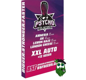 PSYCHO XXL BSF X4 X12