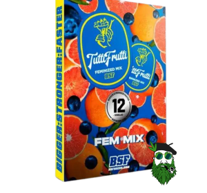 TUTTI FRUTTI BSF X12