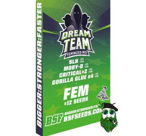 DREAM TEAM BSF X12