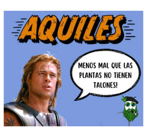 AQUILES AUTO SPARTAN SEEDS X1