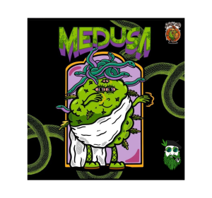 MEDUSA AUTO SPARTAN SEEDS X1