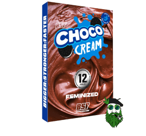 CHOCO CREAM BSF FOTO X2 X4 X12