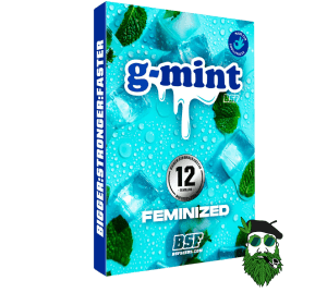 G-MINT BSF FOTO X2 X4 X12